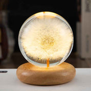 Crystal Ball LED Night Light