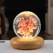 Crystal Ball LED Night Light