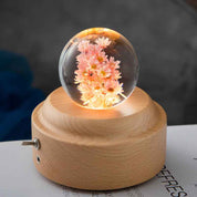 Crystal Ball LED Night Light